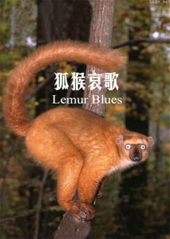 狐猴哀歌
