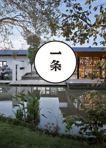 一条2017