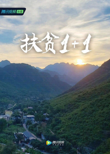 扶贫1 1
