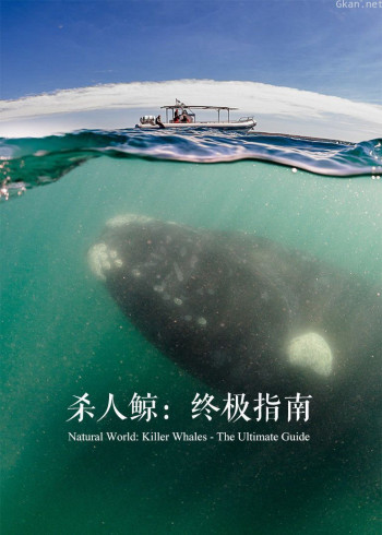 杀人鲸:终极揭秘