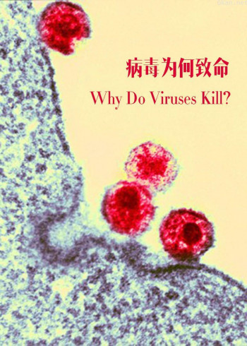 病毒为何致命?