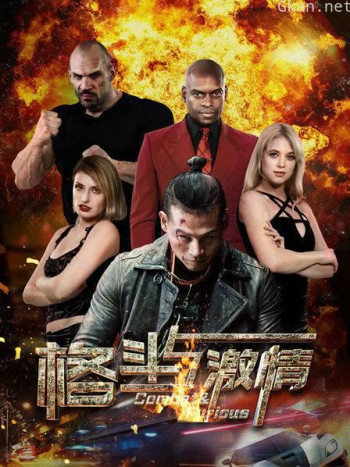 格斗与激情