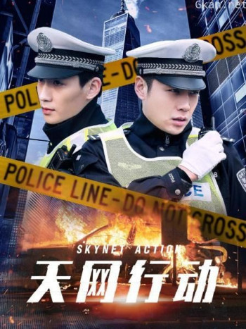 天网行动