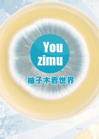 柚子木看世界 2016