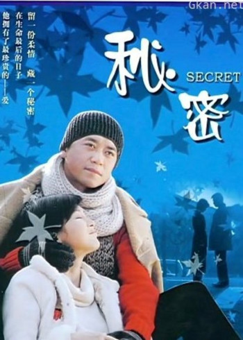 秘密 王学兵版