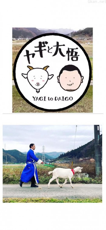 咩咩和悟宝