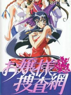 大小姐搜查网