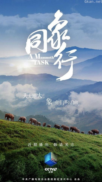 同象行