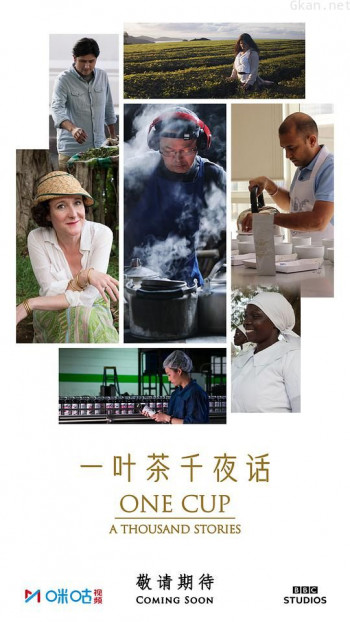 一叶茶,千夜话