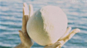 Lucina Annulata