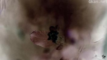 Show Me Other Places