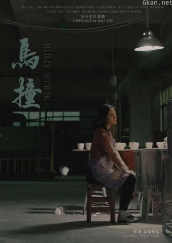 鸟撞