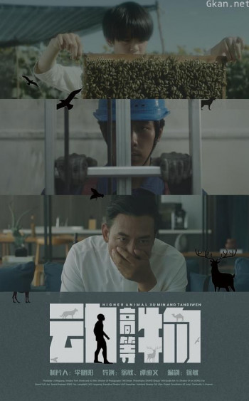高等动物