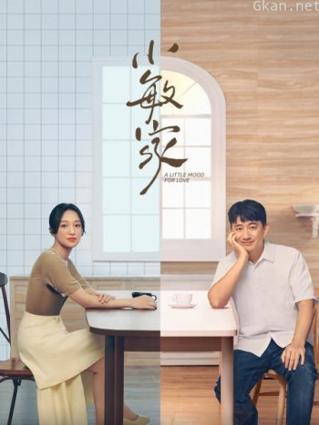 小敏家 DVD版