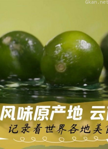 风味原产地 云南纪录片