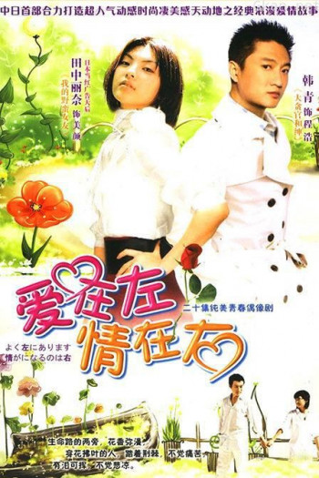 爱在左,情在右