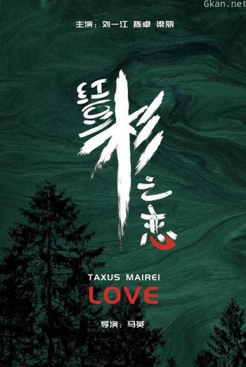 红豆杉之恋