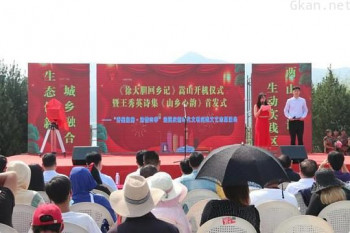 徐大胆回乡记