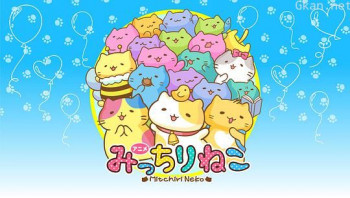 萌猫向前冲