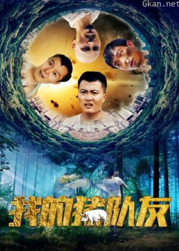 我的猪队友