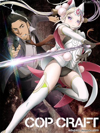 COPCRAFT