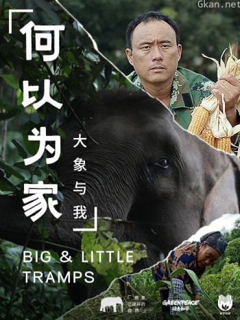 何以为家:大象与我