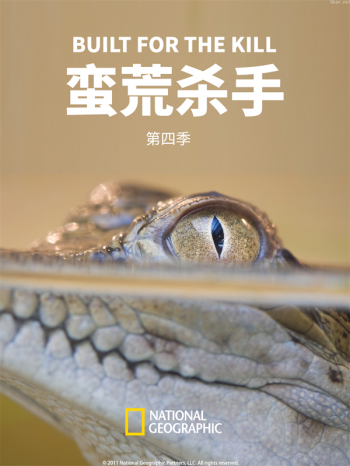 蛮荒杀手 第四季