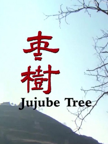 枣树