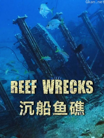 沉船鱼礁