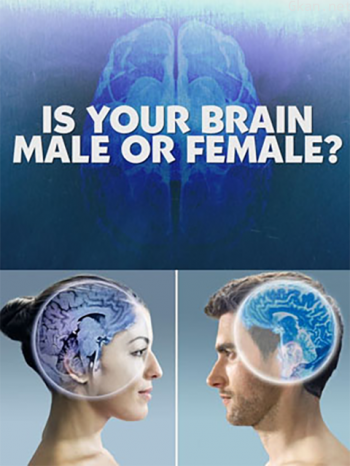 地平线:我的大脑是男是女?
