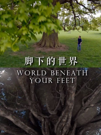 脚下的世界