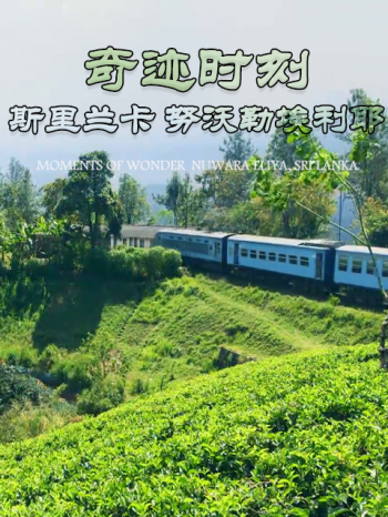 奇迹时刻:斯里兰卡努沃勒埃利耶