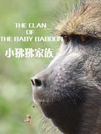 小狒狒家族