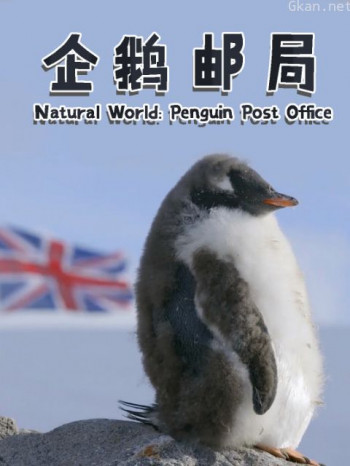 企鹅邮局