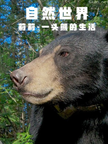 自然世界:莉莉-一头熊的生活