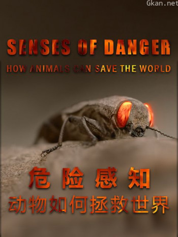 危险感知:动物如何拯救世界