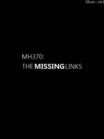 MH370航班失踪疑云