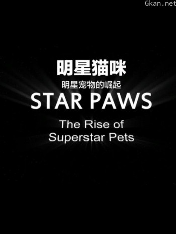 明星猫咪