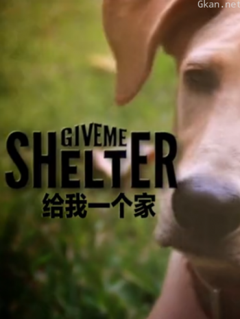 给我一个家