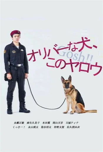 奥莉佛是狗天哪这家伙
