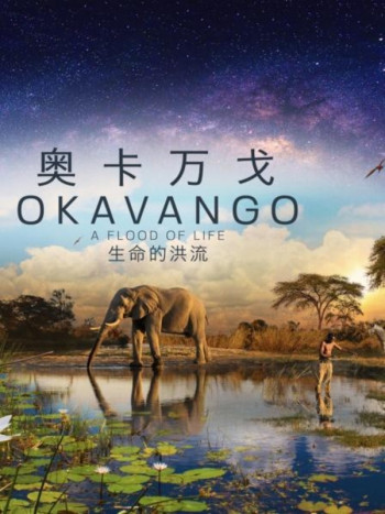 奥卡万戈:生命的洪流