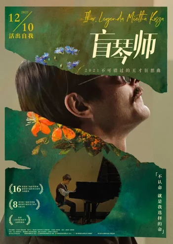 盲琴师普通话