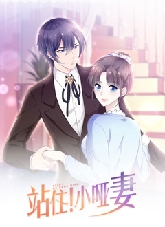 站住,小哑妻