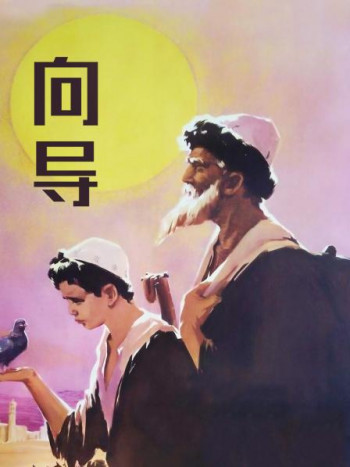 向导