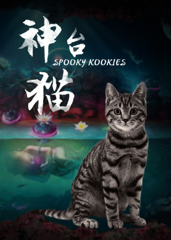 神台猫