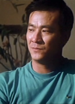 赤胆情粤语