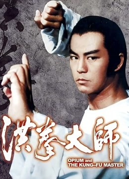 洪拳大师粤语