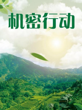 机密行动