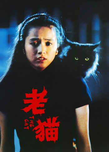 老猫