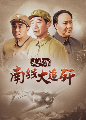 大进军:南线大追歼